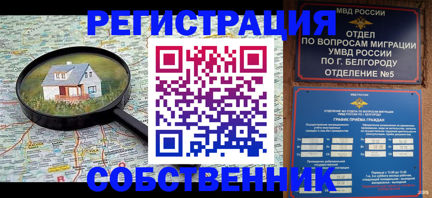 регистрация для школы в Фрязино